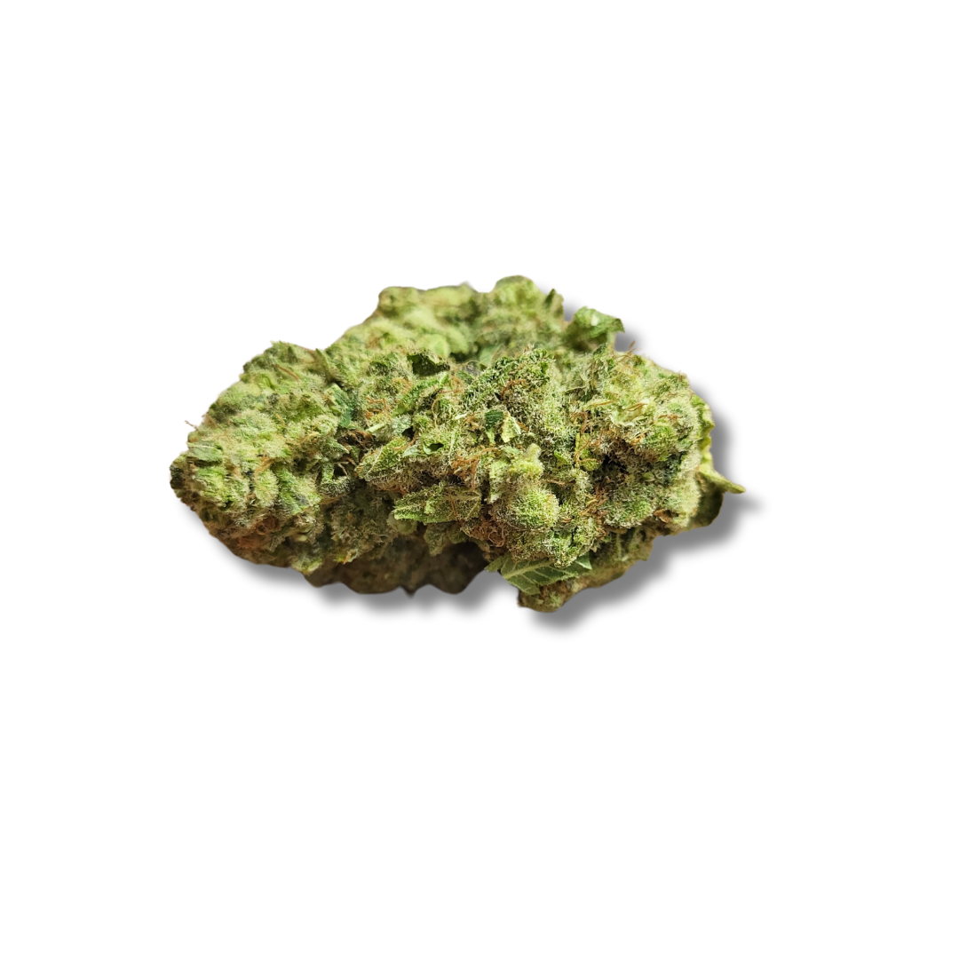 AMNESIA - 0.3%