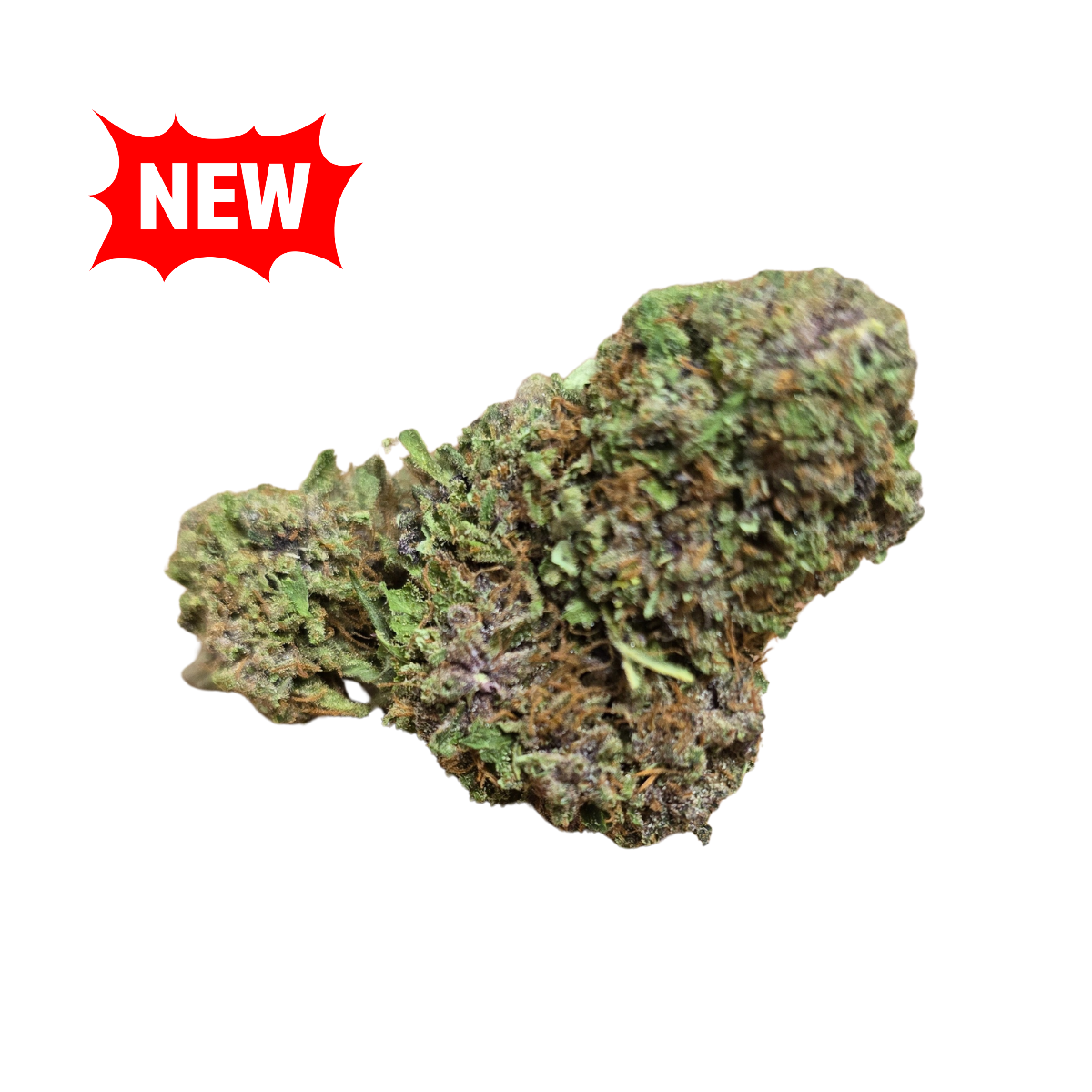 ORANGE FRITTER - 0.3%