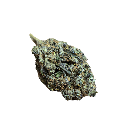 PURPLE - 0.3%